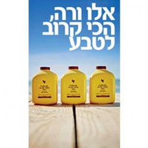 פלייר