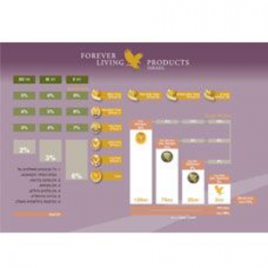 דך התוכנית השיווקית- 10 יח'